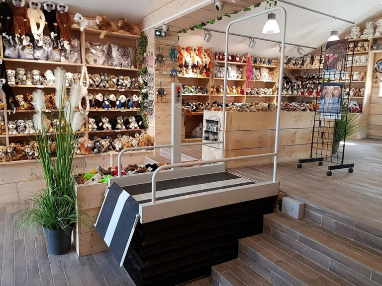 Elevador-vertical-escaleras-en-tienda-EVP-L(2)